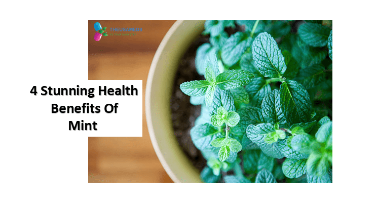 4 Stunning Health Benefits Of Mint